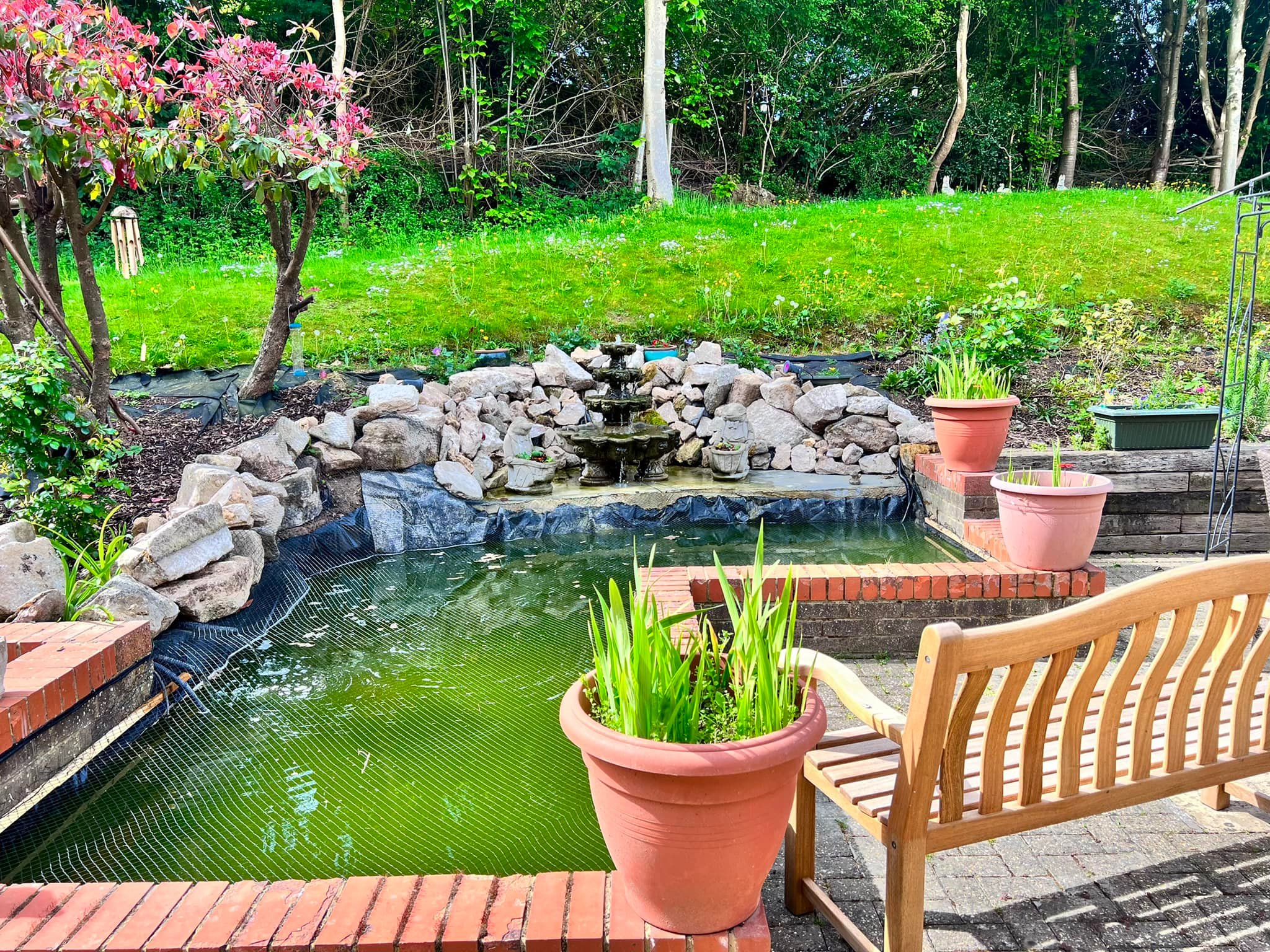 pond with a bench looking over it