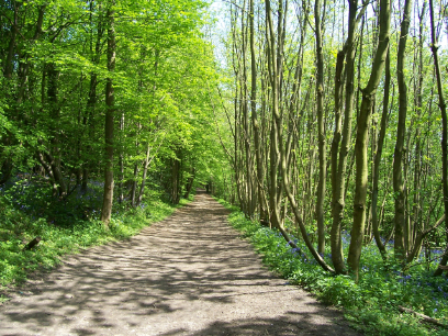 country park