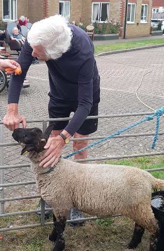 Resident feeding a lamb